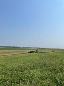 Tract 1 Gerald E Luke & Mary E Luke Trust Farm Land Auction - image 18