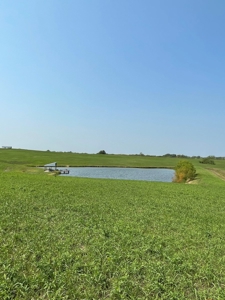 Tract 1 Gerald E Luke & Mary E Luke Trust Farm Land Auction - image 30