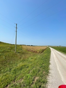 Tract 1 Gerald E Luke & Mary E Luke Trust Farm Land Auction - image 34