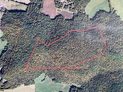 133 Acres in Albany, Kentucky - image 1