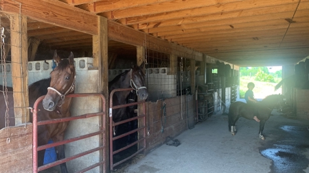 Jackson County Ohio Farm for Sale - image 22