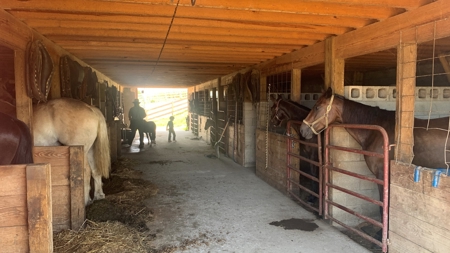 Jackson County Ohio Farm for Sale - image 19