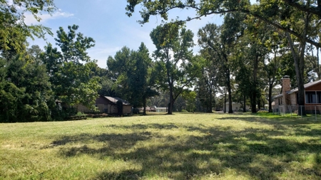 Lake Palestine Waterfront Lot For Sale | East Tx Real Estate - image 5