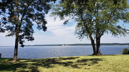 Lake Palestine Waterfront Lot For Sale | East Tx Real Estate - image 3