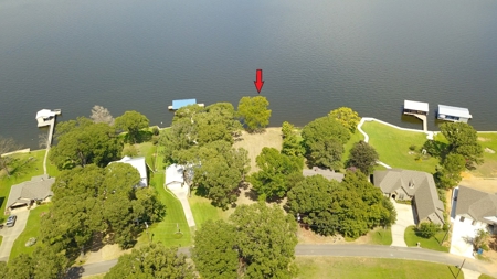 Lake Palestine Waterfront Lot For Sale | East Tx Real Estate - image 8