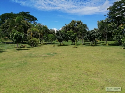 Villa For Sale In Costa Blanca Decameron - image 17