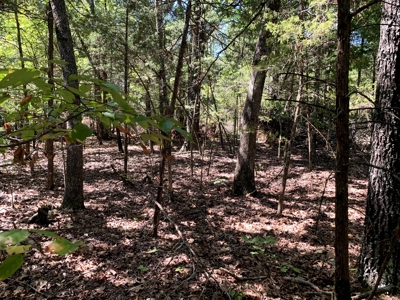 5 Acres for sale in Yellville, AR - image 7
