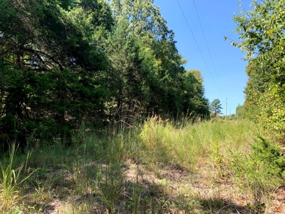 5 Acres for sale in Yellville, AR - image 15