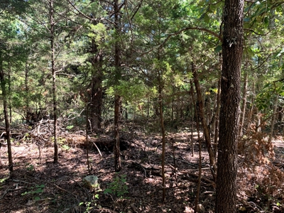 5 Acres for sale in Yellville, AR - image 1