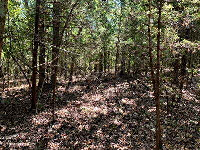 5 Acres for sale in Yellville, AR - image 5