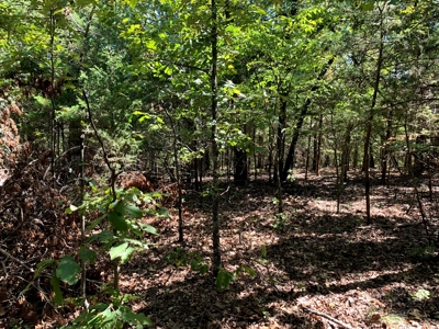 5 Acres for sale in Yellville, AR - image 4