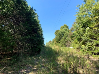 5 Acres for sale in Yellville, AR - image 12