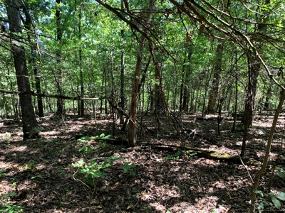 5 Acres for sale in Yellville, AR - image 9