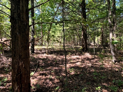 5 Acres for sale in Yellville, AR - image 10
