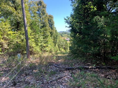 5 Acres for sale in Yellville, AR - image 11
