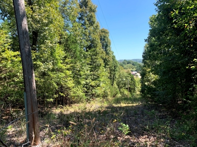 5 Acres for sale in Yellville, AR - image 14
