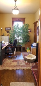 Historic Albia Home For Sale - image 8