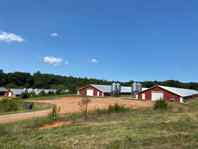 Poultry Farm For Sale in Connelly Springs NC - image 39