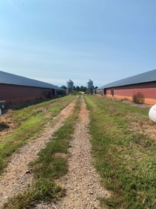 Poultry Farm For Sale in Connelly Springs NC - image 3