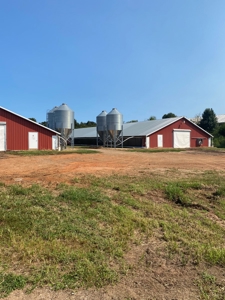 Poultry Farm For Sale in Connelly Springs NC - image 5
