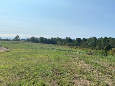 Poultry Farm For Sale in Connelly Springs NC - image 7
