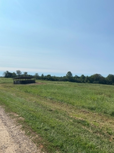 Poultry Farm For Sale in Connelly Springs NC - image 12