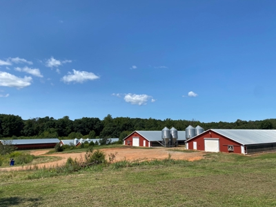 Poultry Farm For Sale in Connelly Springs NC - image 38