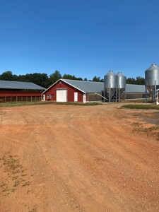 Poultry Farm For Sale in Connelly Springs NC - image 10