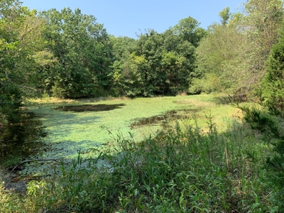 120+/- Wooded Acres for sale Stover Missouri - image 9