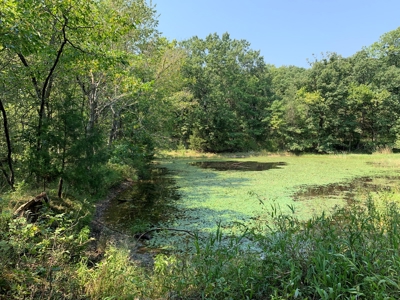 120+/- Wooded Acres for sale Stover Missouri - image 10
