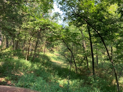 120+/- Wooded Acres for sale Stover Missouri - image 13