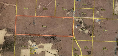 120+/- Wooded Acres for sale Stover Missouri - image 16
