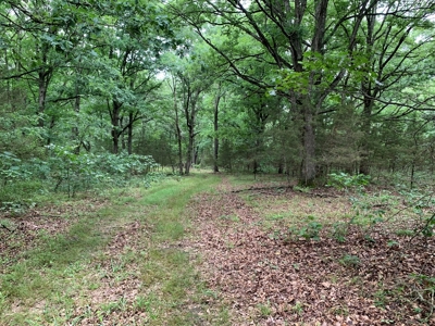 120+/- Wooded Acres for sale Stover Missouri - image 1