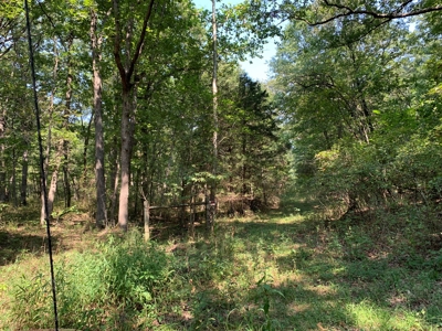120+/- Wooded Acres for sale Stover Missouri - image 14