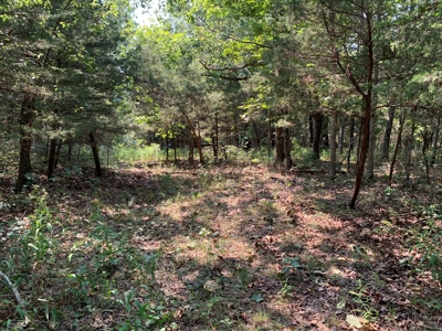 120+/- Wooded Acres for sale Stover Missouri - image 12