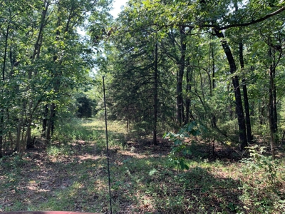 120+/- Wooded Acres for sale Stover Missouri - image 11