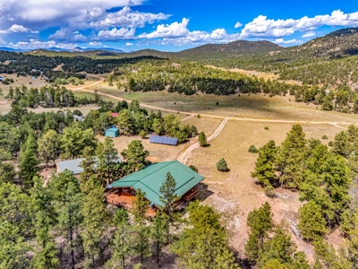 Large Custom Log Home for Sale in Cotopaxi, Colorado - image 40