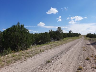 Off Grid Doesn't Get Easier Than This ! - image 26