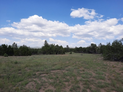 Off Grid Doesn't Get Easier Than This ! - image 21