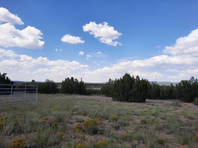 Off Grid Doesn't Get Easier Than This ! - image 8