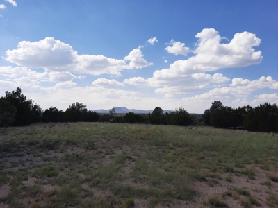 Off Grid Doesn't Get Easier Than This ! - image 24