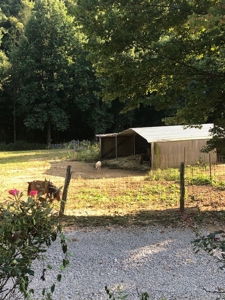 3 Bed 2 Bath Doublewide Home On 12.68 Acres In East Tn - image 22