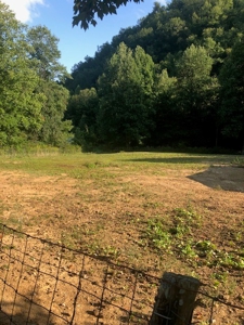 3 Bed 2 Bath Doublewide Home On 12.68 Acres In East Tn - image 24