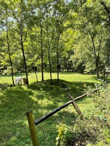 3 BR, 2 BA Country Home in East TN For Sale - image 5