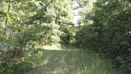 Cherokee County Land For Sale - image 11