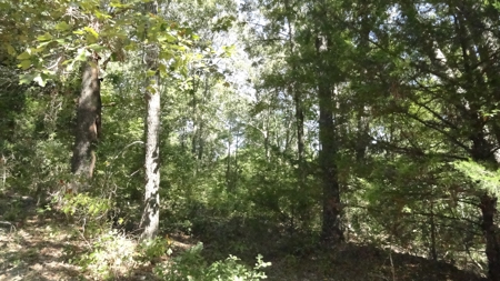 Cherokee County Land For Sale - image 24