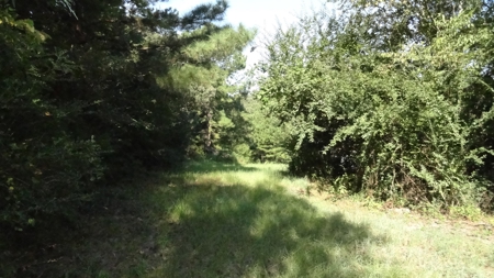 Cherokee County Land For Sale - image 2