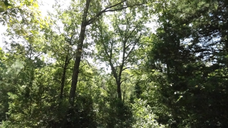 Cherokee County Land For Sale - image 27