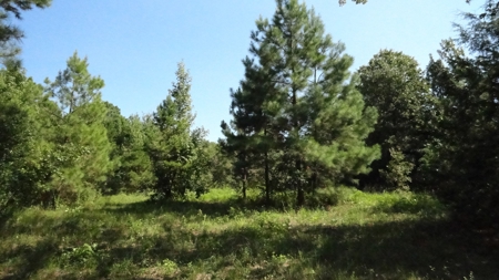 Cherokee County Land For Sale - image 20