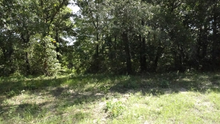 Cherokee County Land For Sale - image 22